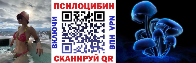 Галлюциногенные грибы Psilocybine cubensis  где найти   Выкса 
