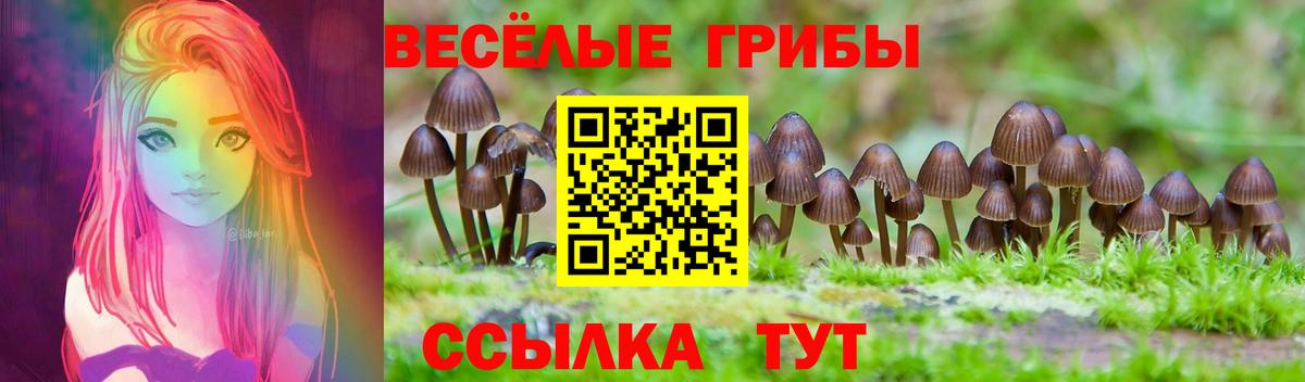 Псилоцибиновые грибы Psilocybine cubensis Выкса